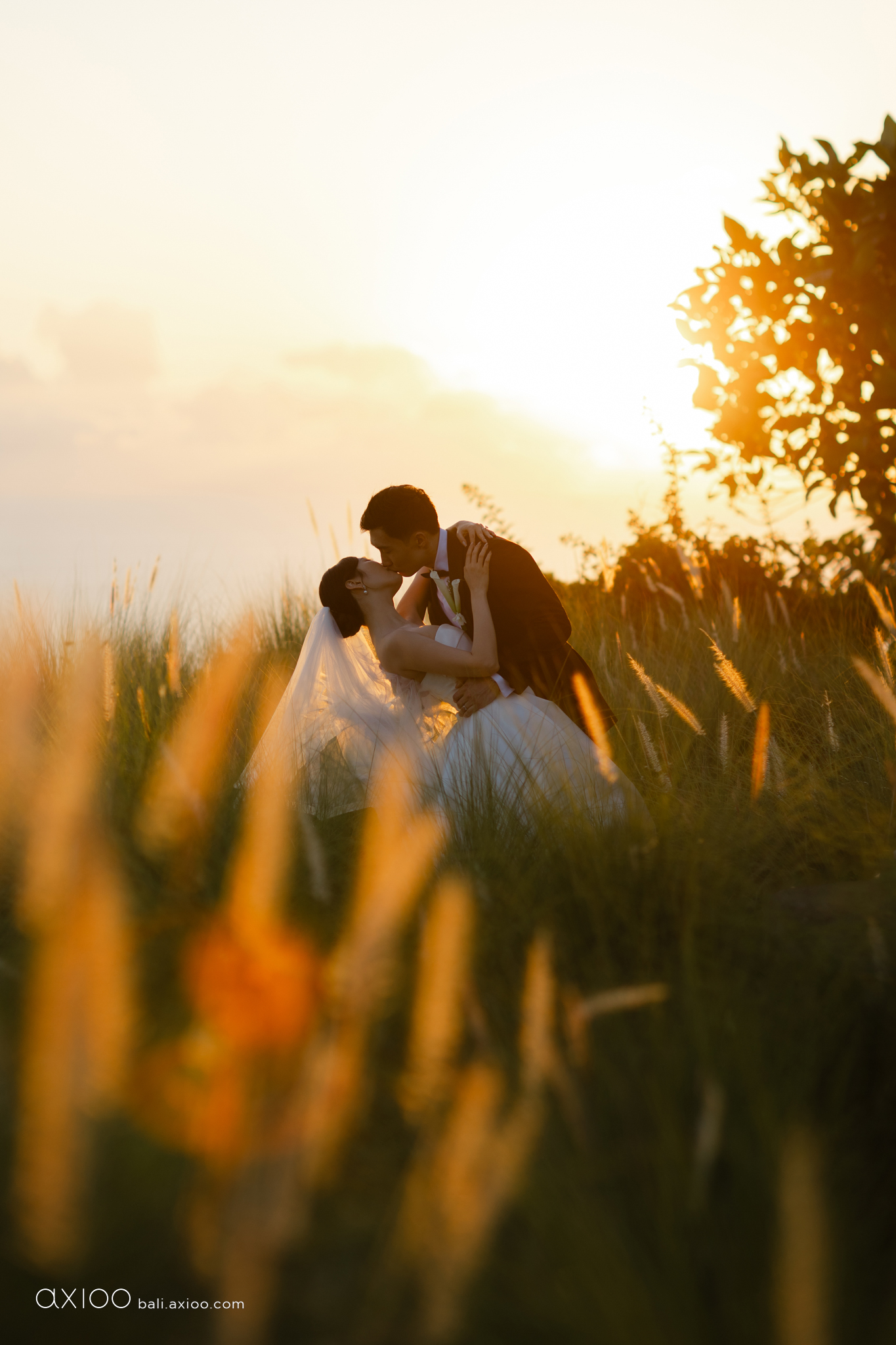 Axioo: Before the Shutter Clicks